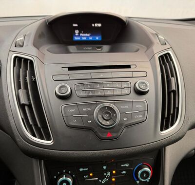 Ford C-MAX 19