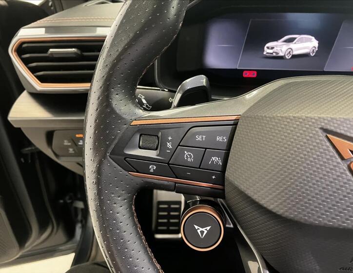 Cupra Formentor 15