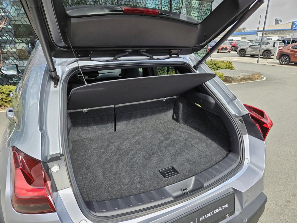 Lexus UX 250h