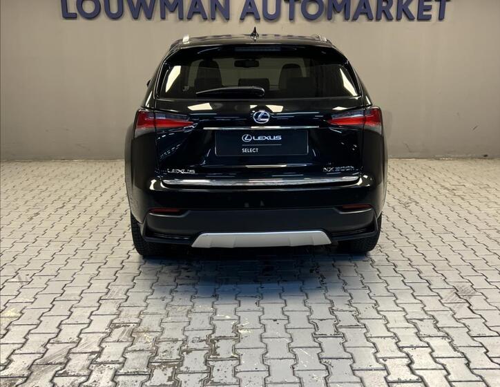 Lexus NX 300h 12