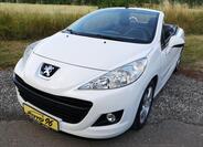 Peugeot 207 40