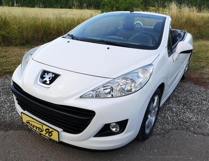 Peugeot 207 40