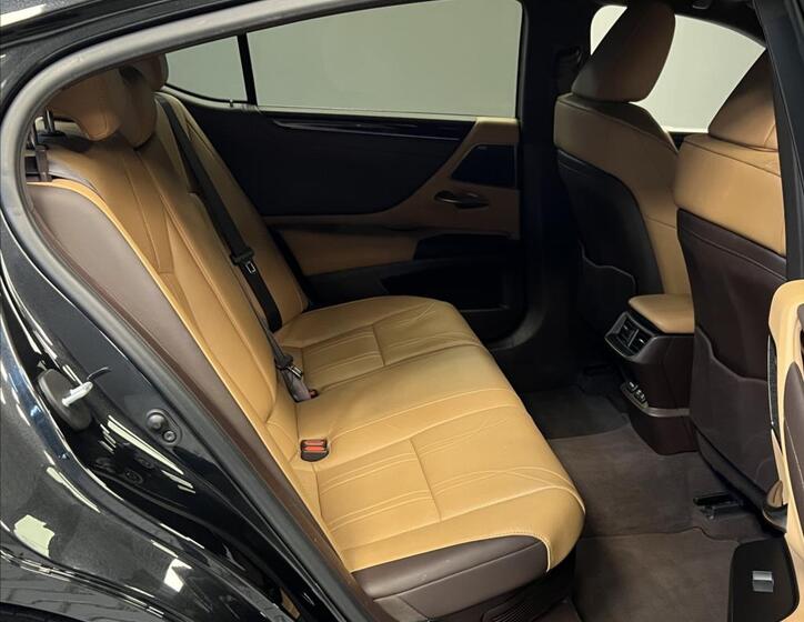 Lexus ES 300h 10