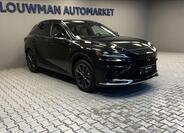 Lexus RX 350h 11
