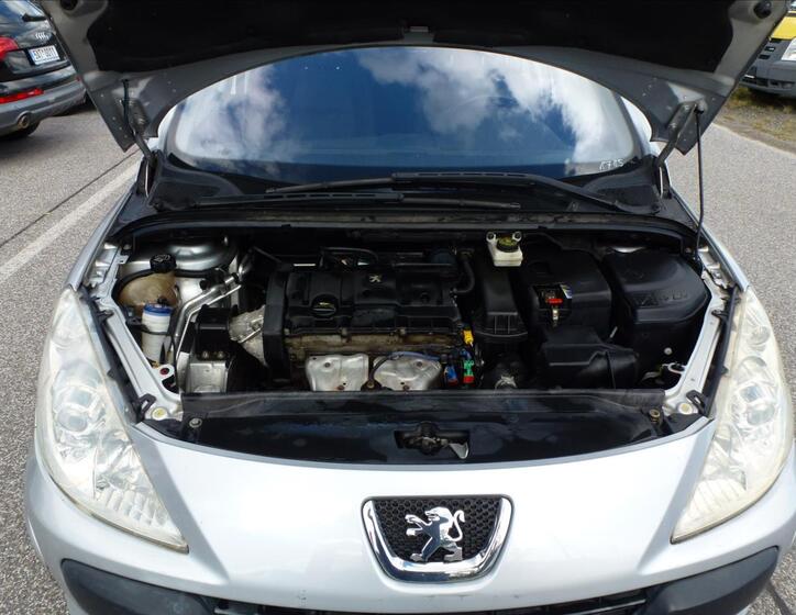 Peugeot 307 38
