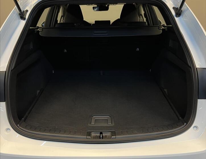 Toyota Corolla 11