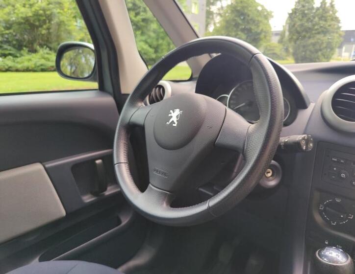 Peugeot 1007 16