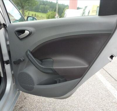 Seat Ibiza 22
