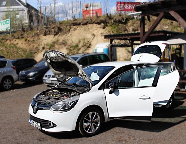 Renault Clio 21