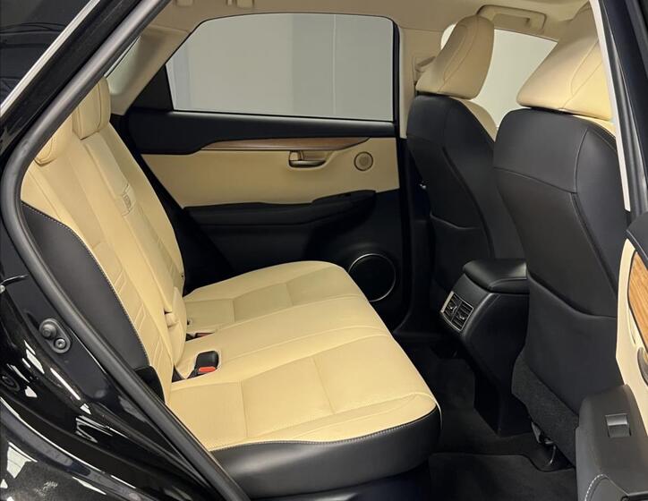 Lexus NX 300h 10