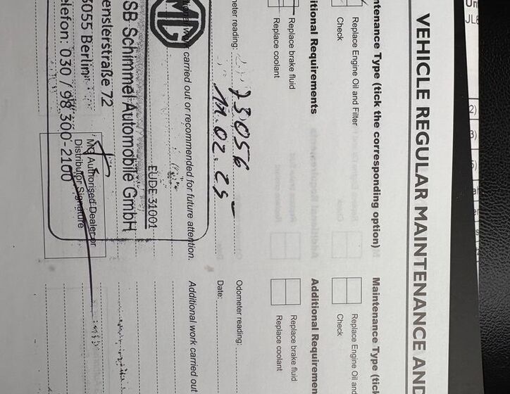 MG ZS 21