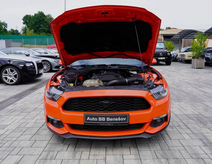 Ford Mustang 17
