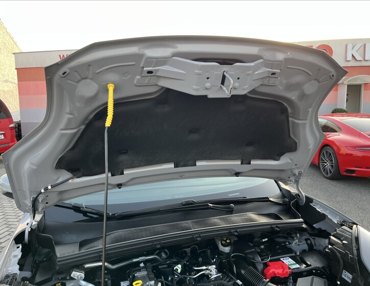 Ford Puma 35
