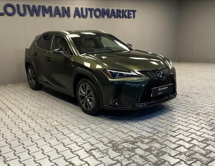 Lexus UX 300h 11