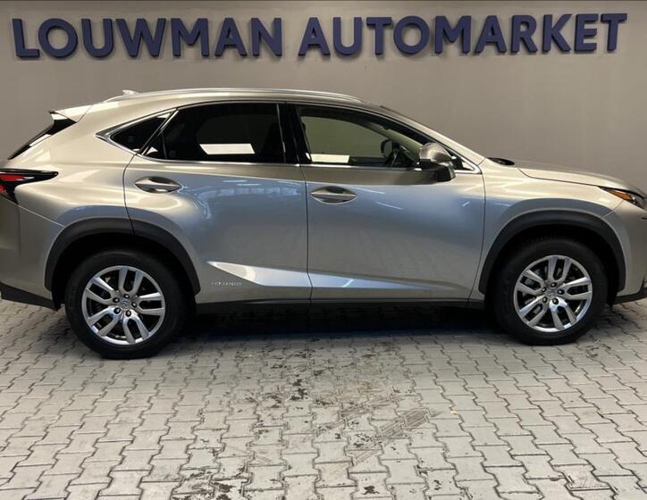 Lexus NX 300h 14