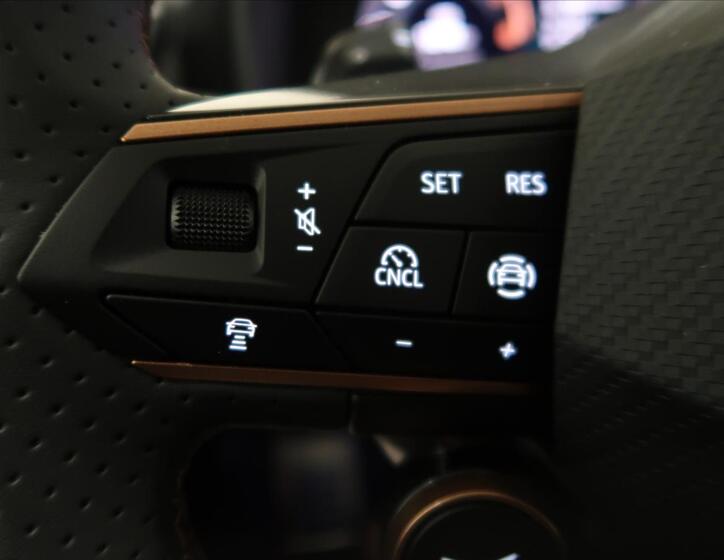 Cupra Formentor 34