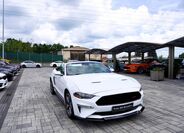 Ford Mustang 15