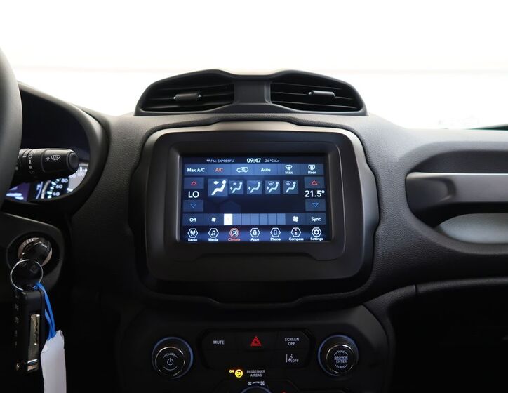 Jeep Renegade 24