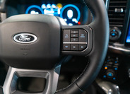 Ford F-150 19