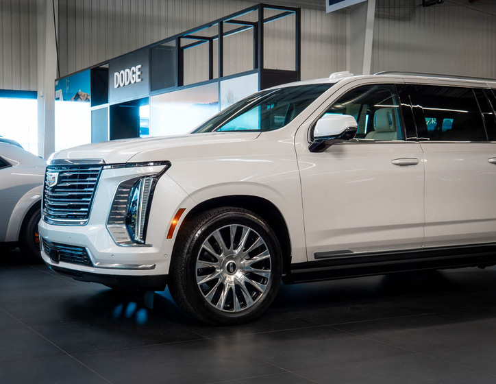 Cadillac Escalade 14
