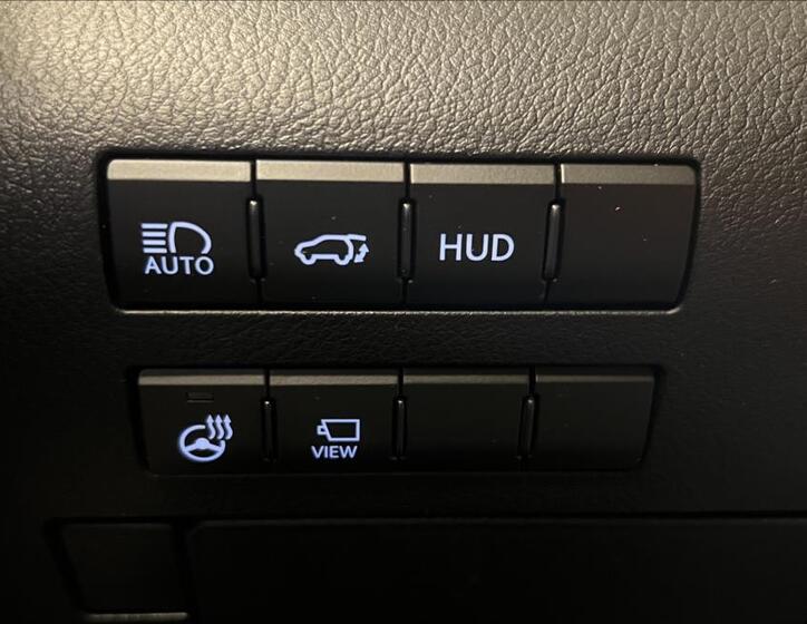 Lexus RX 450h 19