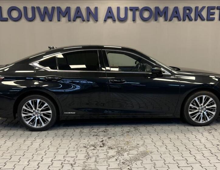 Lexus ES 300h 14