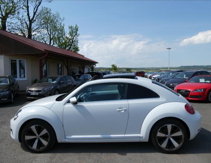 Volkswagen Beetle 6