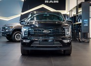 Ford F-150 10