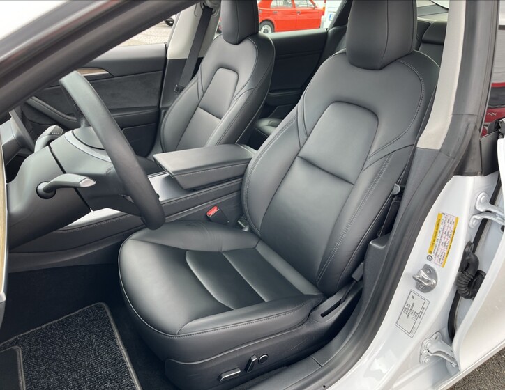 Tesla Model 3 21