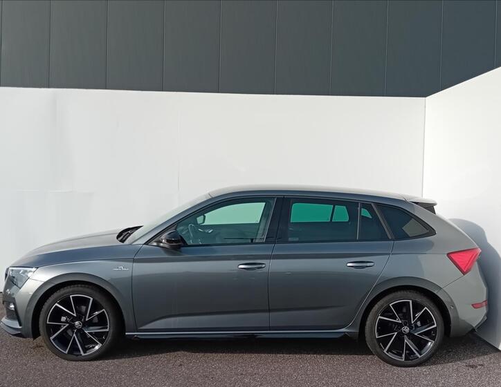 Škoda Scala 10