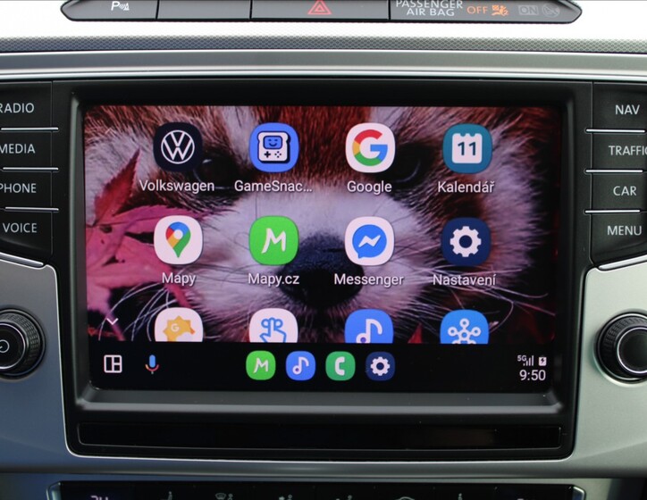Volkswagen Passat 19