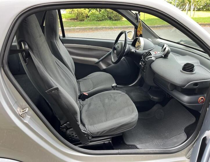 Smart Fortwo 19