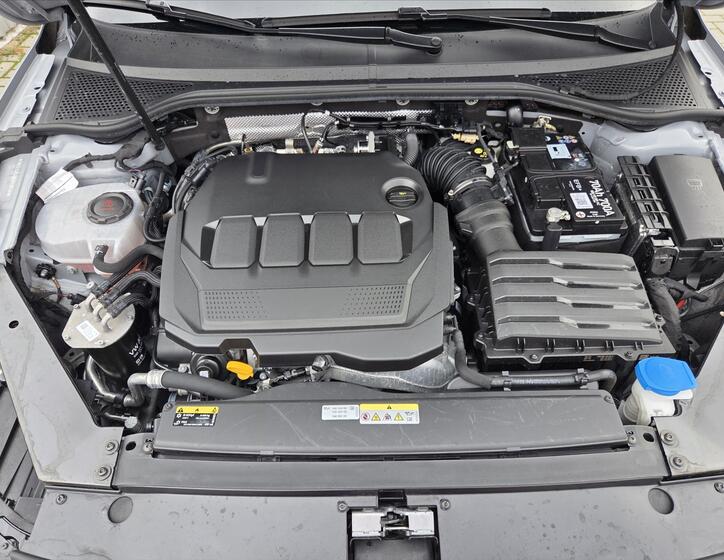 Volkswagen Passat 18