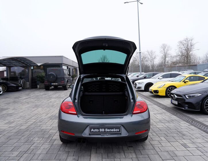 Volkswagen Beetle 11