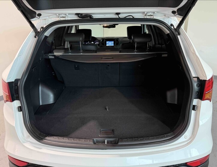 Hyundai Santa Fe 19