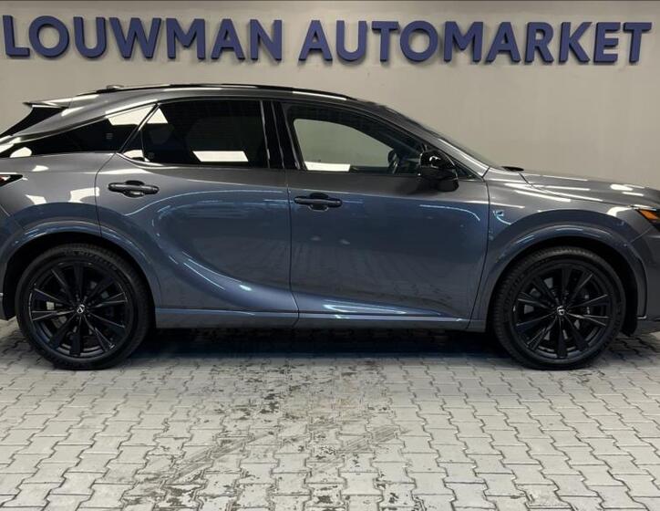 Lexus RX 500h 14