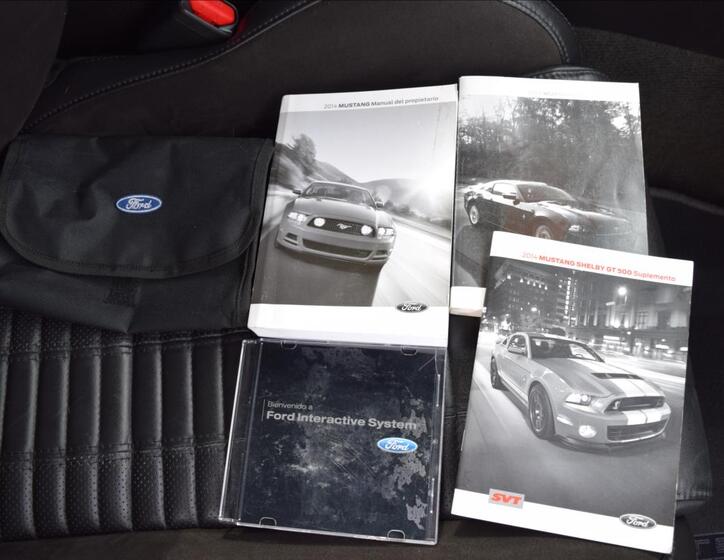 Ford Mustang 43