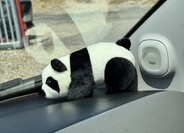 Fiat Panda 14