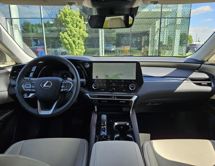 Lexus RX 450h 19