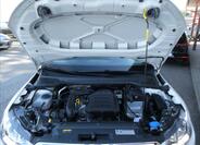 Seat Arona 39