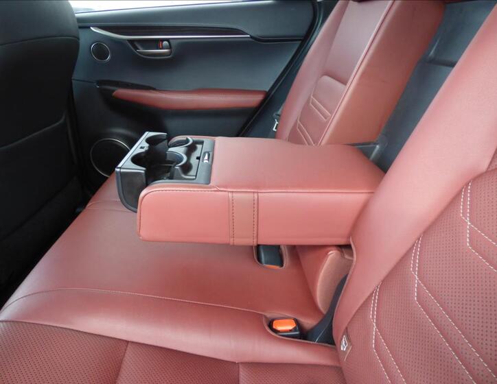 Lexus NX 300h 51
