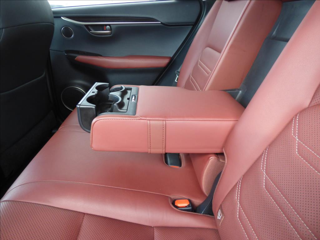 Lexus NX 300h