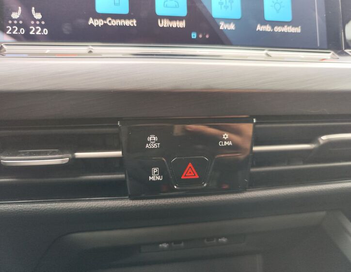 Volkswagen Golf 21