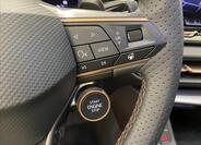 Cupra Terramar 14