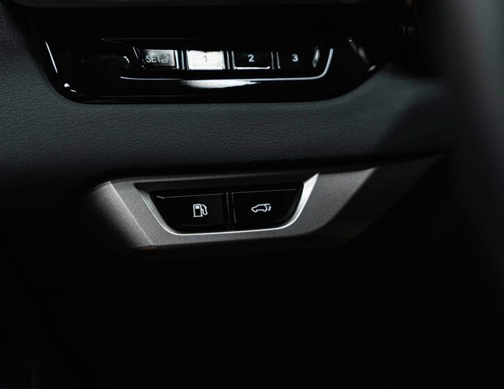Lexus RX 450 19