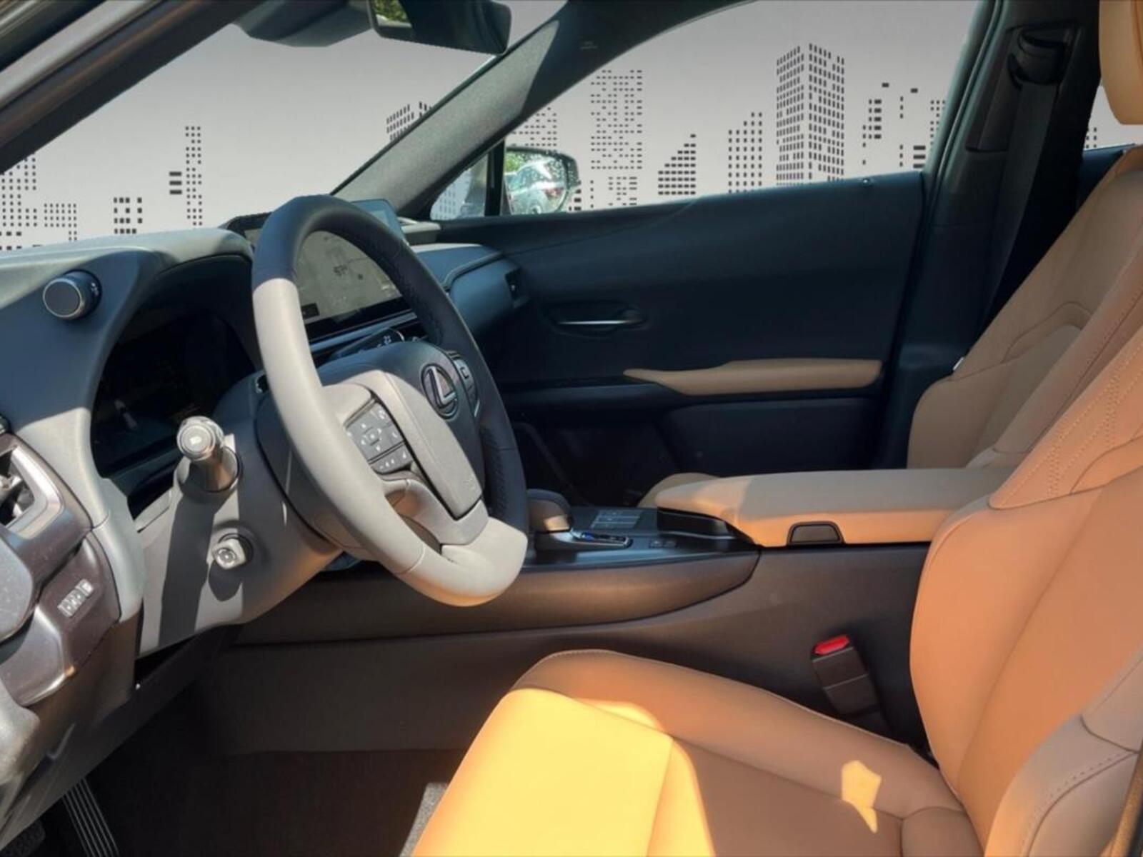 Lexus UX 250h 7