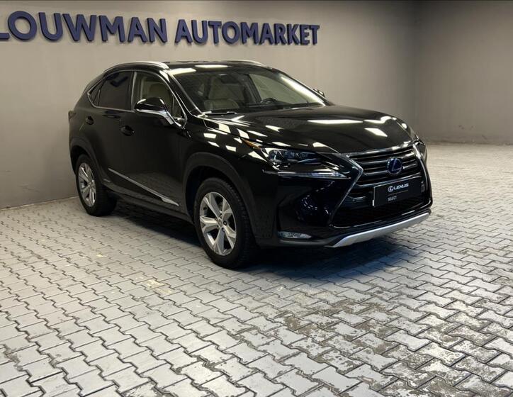 Lexus NX 300h 11