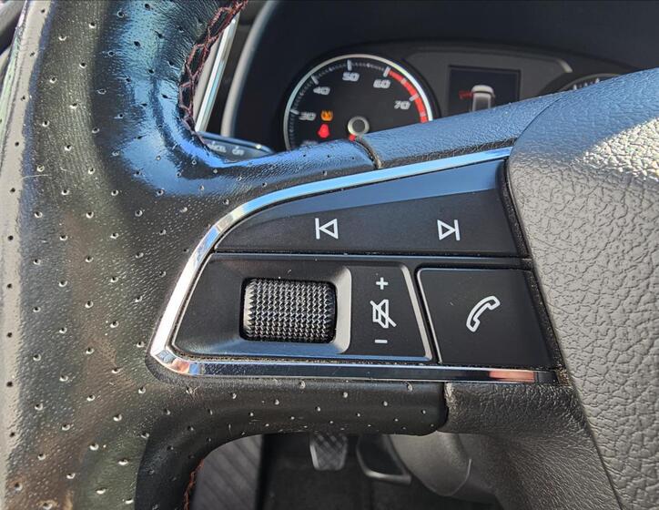 Seat Leon 17