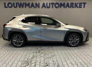 Lexus UX 300h 13