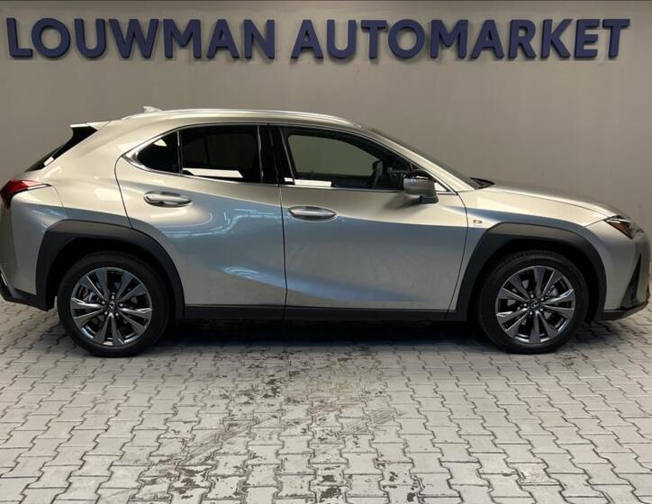 Lexus UX 300h 13